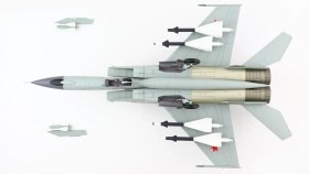 تصویر ماکت جنگنده میگ 25 نیروی هوایی شوروی | Hobby Master 1:72 MIG-25PDS Foxbat Blue 20 Soviet Air Force 