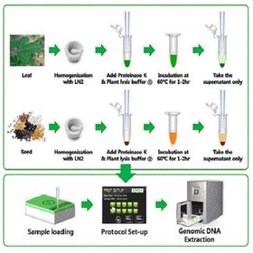 تصویر کیت استخراج DNA گیاهان Plant DNA Extraction Kit