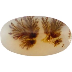 تصویر سنگ شجر پارلا گوهر کد 4081 