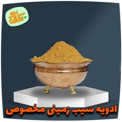 تصویر ادویه سیب زمینی مخصوص - 100 گرم 