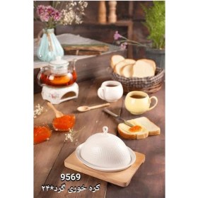 تصویر کره خوری بیضی ریور کد 9569 