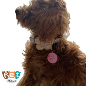 تصویر آویز پلاک قلاده طرح پنجه 1131 