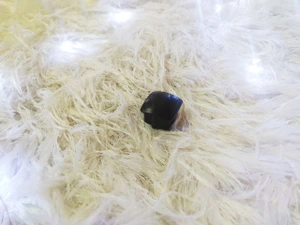 تصویر فروشگاه ساتیدا استور