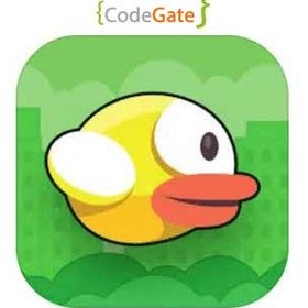 تصویر سورس بازی flappy bird در پایتون 