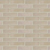 تصویر آجر نسوز آذرخش رستیک هلندی 20*5 