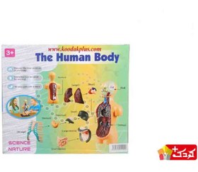 تصویر اسباب بازی آموزشی مولاژ نیم تنه (10 تکه) سایز کوچک مدل The Human Body 3305 