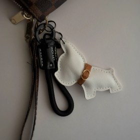 تصویر بگ سگ چرمی چارم 