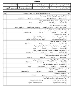تصویر آزمون تستی تولید کننده چند رسانه سه بعدی بخش افترافکت و تری دی مکس 