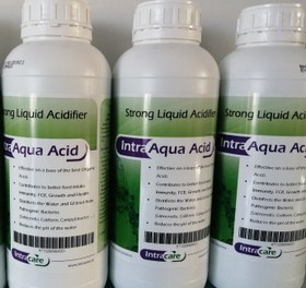 تصویر اسیدی فایر یک لیتری هلندی اینتراآکوا اسید ا Intra aqua acid 1lit Intra aqua acid 1lit