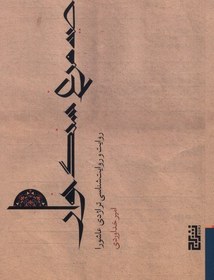 تصویر صید مرغ سنگ خوار 