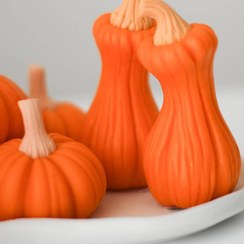 تصویر کدو تزیینی 