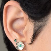 تصویر گلگوش نقره شکوفه بادام 