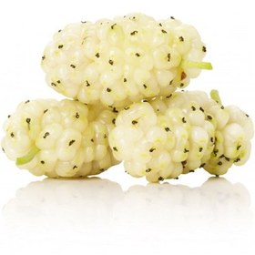 تصویر توت سفید 