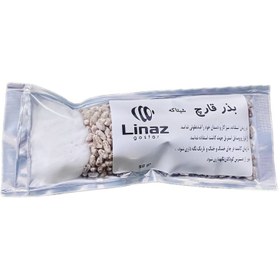 تصویر بذر قارچ شیتاکه مدل 06 