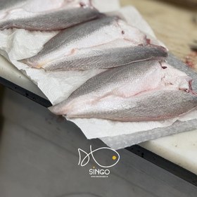 تصویر ماهی شوریده Tigertooth croaker