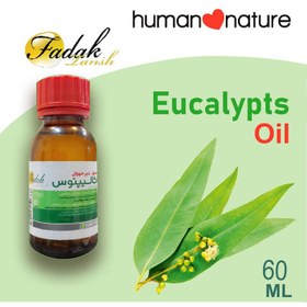 تصویر محلول بخور فدک تانیش مدل Eucalyptus حجم 60 میلی لیتر 