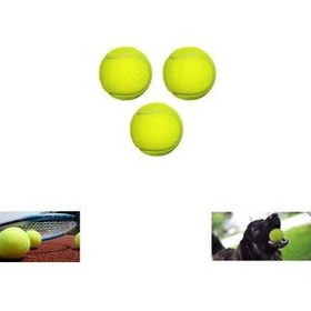 تصویر توپ تنیس 3 بازی سگ Paras Ticaret 