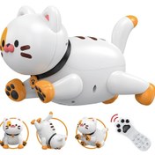 تصویر ربات کنترلی گربه مدل K48 