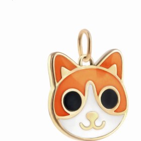 تصویر آویز جینجر پیشی 