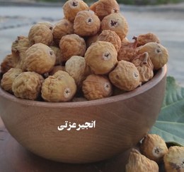 تصویر انجیردستچین سایز متوسط 