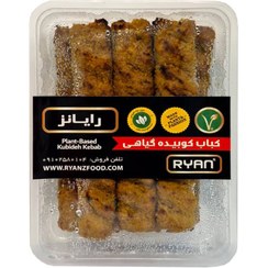 تصویر کباب کوبیده گیاهی رایانز 