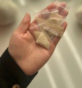 تصویر پودر ضد شپش ۱۰ عددی 