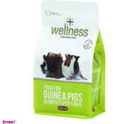 تصویر غذای خوکچه هندی ولنس وزن ۱ کیلوگرم 