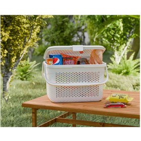 تصویر سبد پیک نیک کوچک 