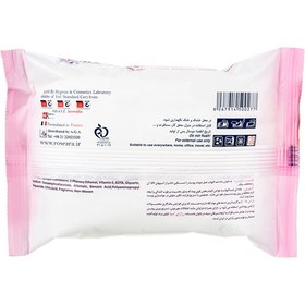 تصویر دستمال مرطوب پاک کننده آرایش پوست چرب یونی لد 20 برگی uni led antibacterial hand cleansing wet wipes oily skin