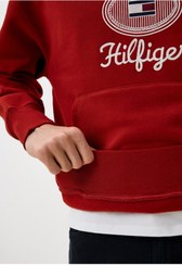 تصویر سویشرت مردانه تامی هیلفیگر اورجینال رنگارنگ Tommy Hilfiger MW0MW35563 