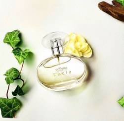 تصویر عطر زنانه لوسیا از برند اوریف لیم ،رایحه یاس ،خوشبو ومعطر ،نماد آرامش ,50ml Lucia Eau de Toilette