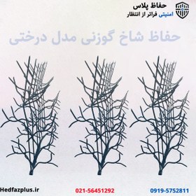 تصویر حفاظ شاخ گوزنی درختی 