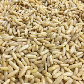 تصویر مغزچلغوز50 گرم( کشیده و درشت) 