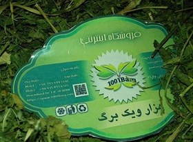 تصویر گزنه (بسته 100گرمی) 