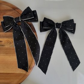 تصویر پاپیون نگیندار 