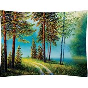 تصویر روبالشی مخمل رنس مدل P1-20342 