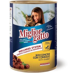 تصویر خوراک مرطوب گربه با تکه‌های خرگوش 405 گرم برند miglior gatto Chunks with Rabbit Cat Wet Food 405g