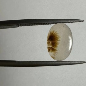 تصویر سنگ شجر عقیق ایران 