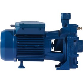 تصویر الکتروپمپ دو پروانه ویگو 3 اسب پروانه استیل مدل CB310 CB310 Wego Water pump