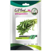 تصویر بذر کاسنی گلبرگ پامچال کد GPF-156 