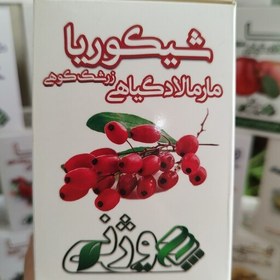 تصویر ریچل (مارمالاد گیاهی) زرشک کوهی ( موثر در رفع کبد چرب) 