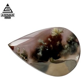 تصویر شجر S65 