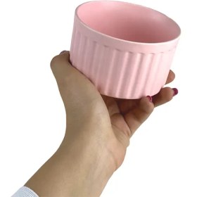 تصویر کاسه ایکیا مینی 