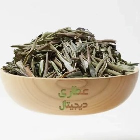 تصویر برگ زیتون 