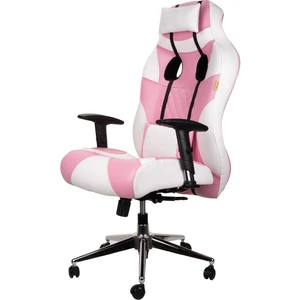 تصویر فروشگاه گروه کادینو