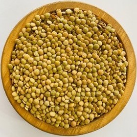 تصویر عدس کانادایی 