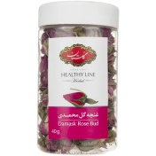 تصویر غنچه گل رز (محمدی) گلستان 