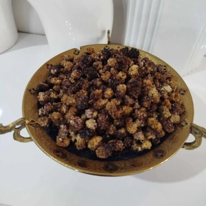 تصویر فروشگاه خشکبار بیهق