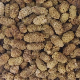 تصویر توت خشک مشهد 