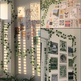 تصویر ریسه برگ 